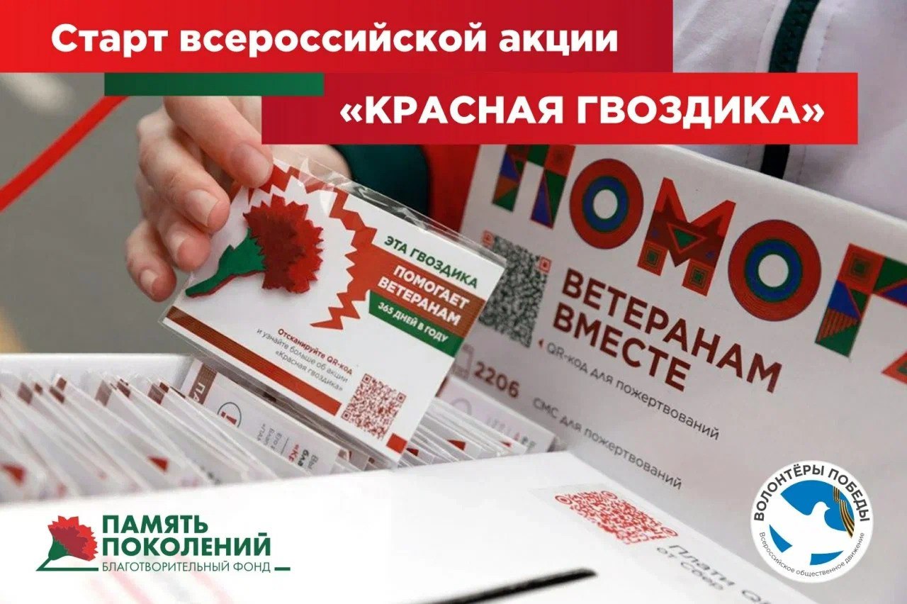 Стартовала всероссийская благотворительная акция помощи ветеранам «Красная гвоздика».