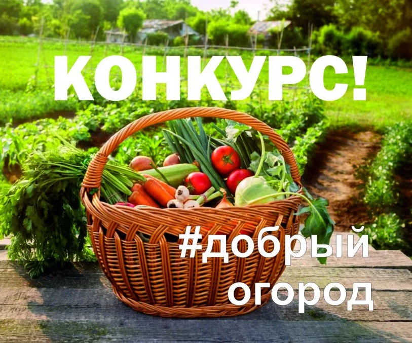 Конкурс &quot;Добрый огород&quot;.