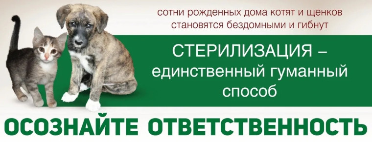 Льготная стерилизация (кастрация) домашних животных. Льготная стерилизация (кастрация) домашних животных.