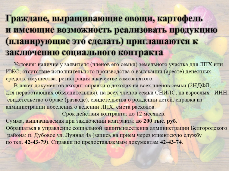Заключение социального контракта. Заключение социального контракта.