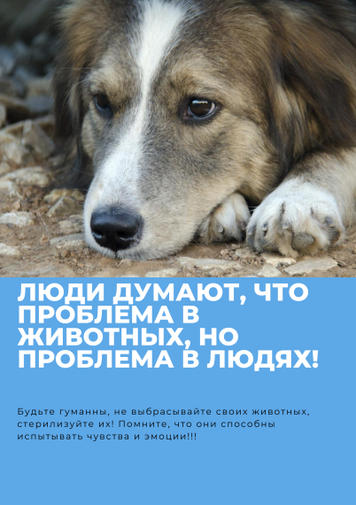 Люди думают, что проблема в животных, но проблема в людях!. Люди думают, что проблема в животных, но проблема в людях!.