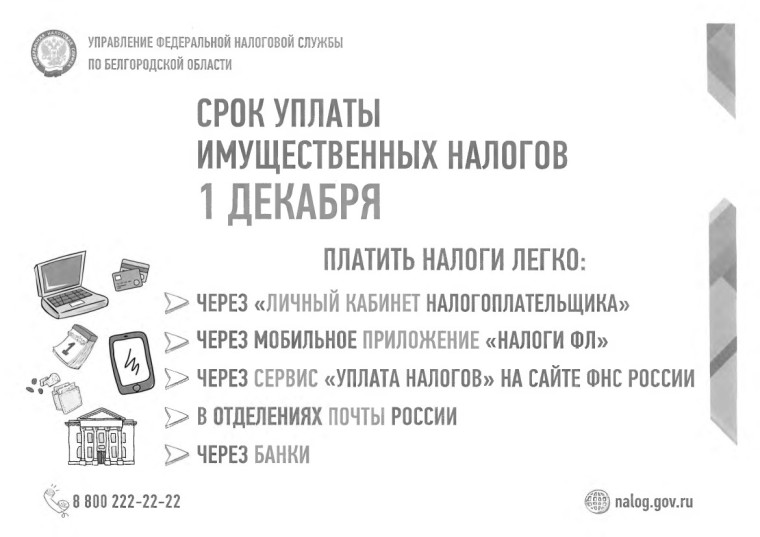 Успей заплатить налоги до 1 декабря!. Успей заплатить налоги до 1 декабря!.
